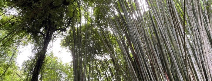 Taman Raya Bali is one of wanglistevana.