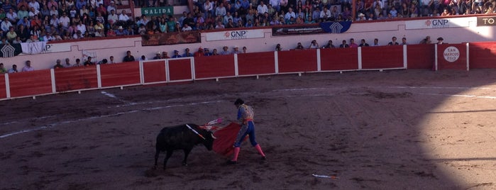 Plaza de Toros San Marcos is one of Visitando Aguascalientes.