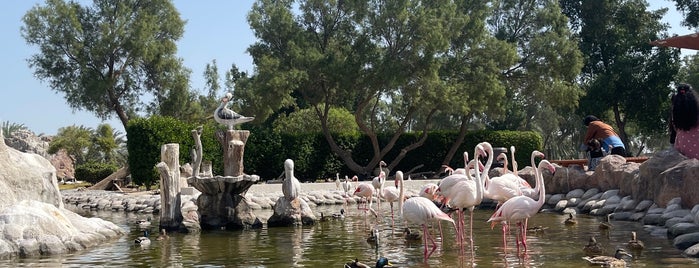 Al Areen Wildlife Park & Reserve is one of جديد البحرين.