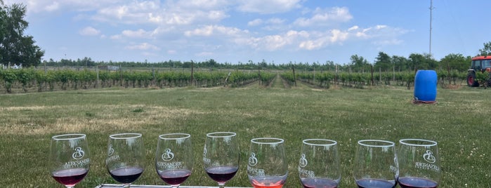 Aleksander Estate Winery is one of Ontario Canada - Drink.