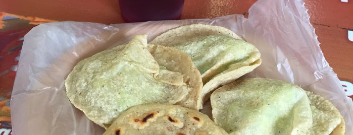 gorditas colon is one of Tampico.