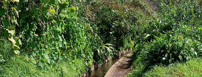 Levada dos Tornos is one of Madeira 2018.