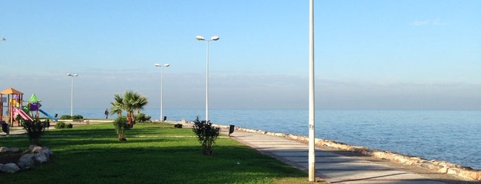 Sahilevleri Liman is one of Locais curtidos por Mehmet Ali.