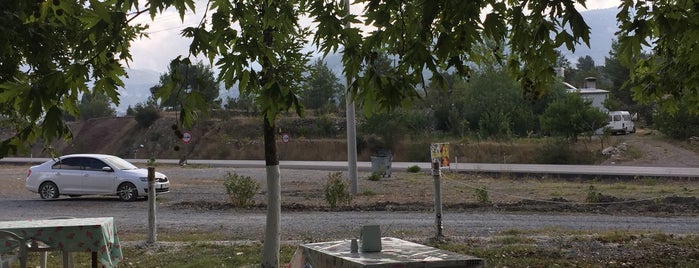 Burcu Gözleme Evi is one of Dr.Gökhan'ın Beğendiği Mekanlar.