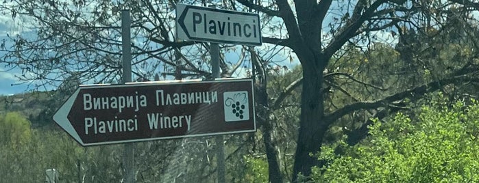 Plavinci Organic Winery is one of สถานที่ที่ Nikola ถูกใจ.