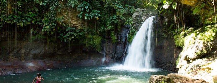 Saut De La Lezarde is one of Guadeloupe.