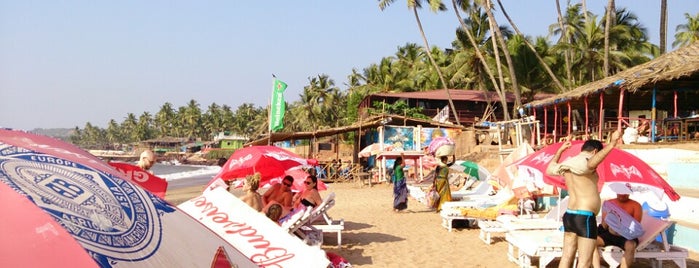 Curlie's is one of GOA.