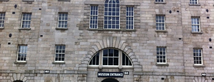 The National Museum of Ireland - Natural History is one of Dublin.