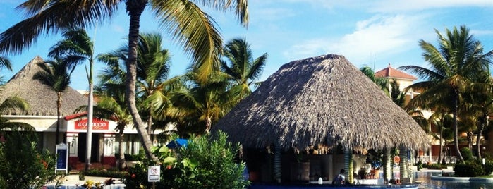 Grand Bahia Principe Bavaro is one of Locais curtidos por Franvat.