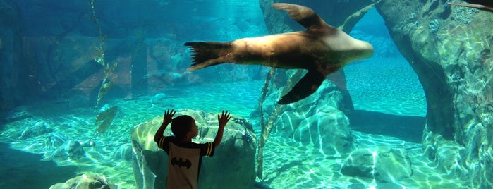 Fresno Chaffee Zoo is one of U.S. Road Trip.