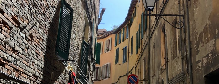Contrada della Torre is one of Contrade di Siena.