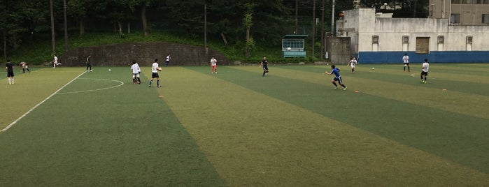 Football Fields Grounds Stadiums