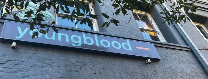 Youngblood is one of Cape Town.