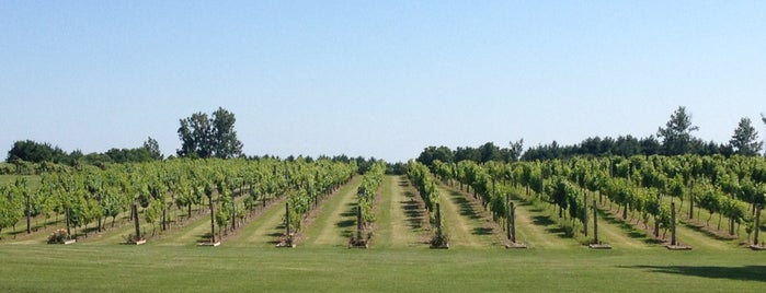 Quai Du Vin Estate Winery is one of Ontario Canada - Drink.