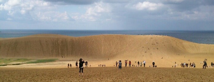 Tottori Sand Dunes is one of 日本の渚百選.