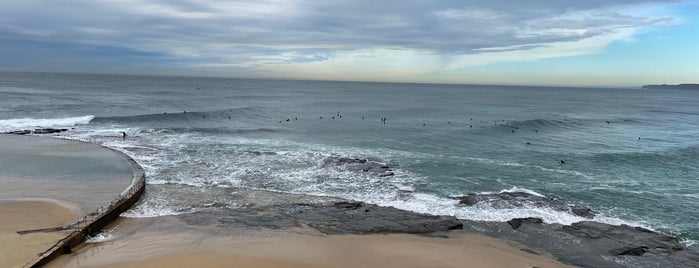 Newcastle Beach is one of Best Newy Beaches.