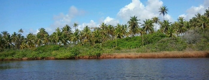 Mata de São João is one of chrismise goes to Bahia.