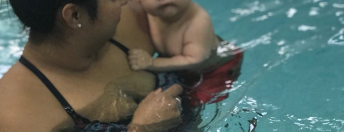 Hubbard Family Swim School is one of Arizona.