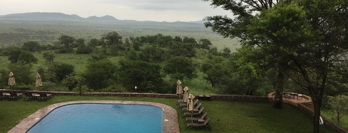 Serengeti Sopa Lodge is one of Free wi-fi venues.