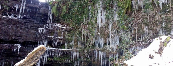 Old Roar Gill is one of Sussex.