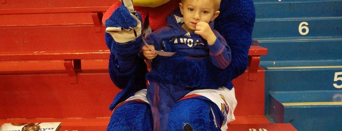 Rally House Allen Fieldhouse is one of Tempat yang Disukai Brandi.