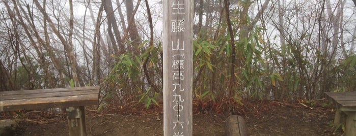 生藤山山頂 is one of Mountain.