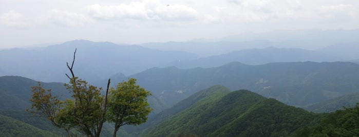 鷹ノ巣山 is one of Mountain.