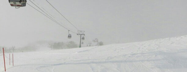 Niseko Annupuri International Ski Area is one of Ski Area.