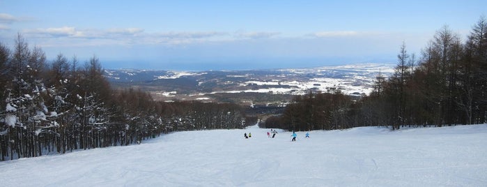 Aomori Spring Ski Resort is one of Ski Area.