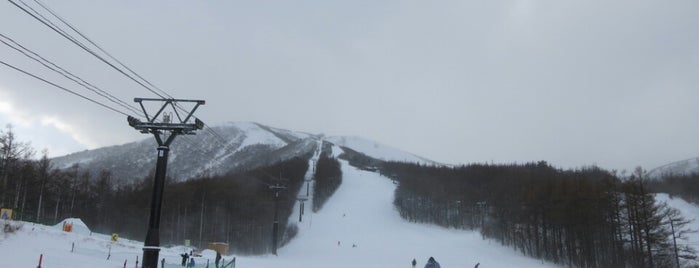 Ski Area