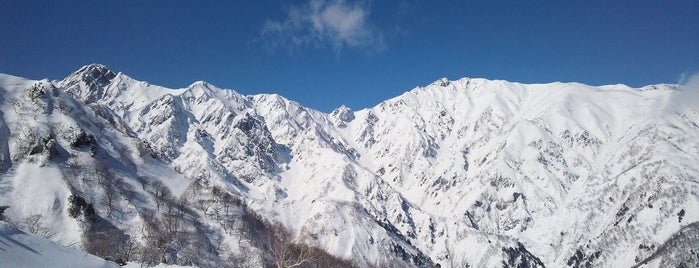 Hakuba Goryu Snow Resort is one of Ski Area.