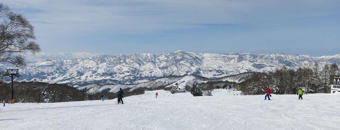 Nozawa Onsen ski resort is one of Ski Area.