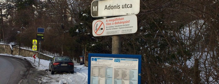 Adonis utca (21, 21A, 212, 990) is one of Bus (212).