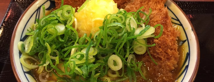 Marugame Seimen is one of 飲食店.