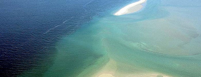 Ilha de Itamaracá is one of Praias do meu Recife PE, eu recomendo!.