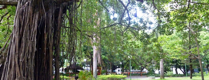 Parque da Jaqueira is one of shopping Recife.