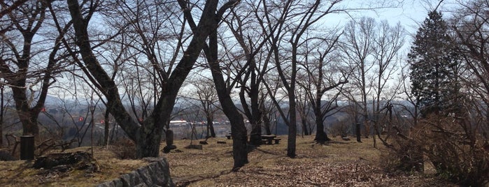 Shiroyama Park (Miharu Castle Ruins) is one of 小京都 / Little Kyoto.