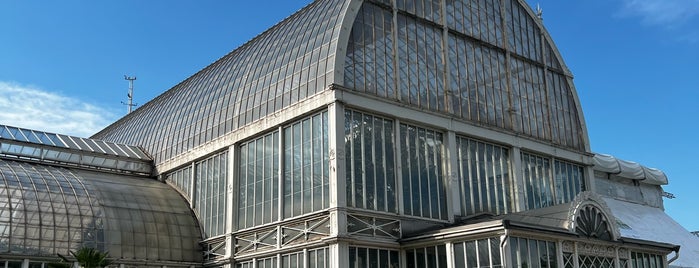 The Palmhouse is one of Gothenburg.