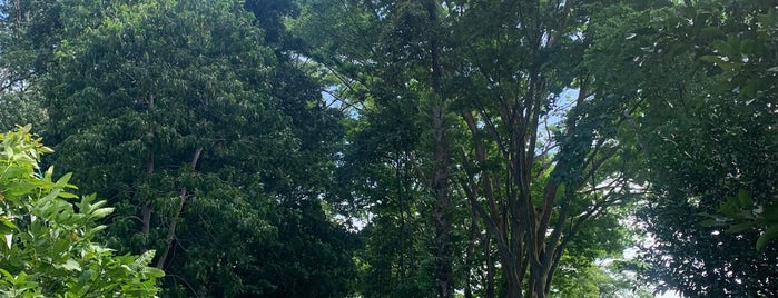 Kebun Raya Purwodadi is one of The  Parks.