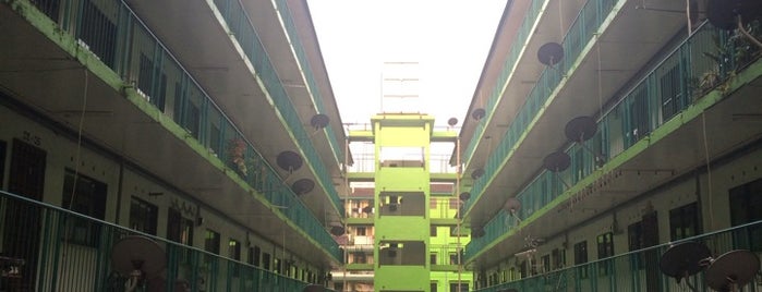 Apis S Crib
