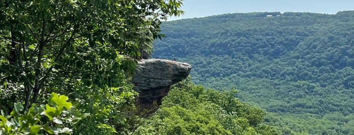 Hawksbill Crag/Whittaker Point is one of Fayetteville.