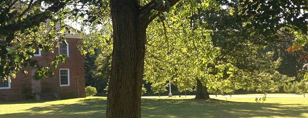 The Great Lawn is one of Orte, die Lizzie gefallen.