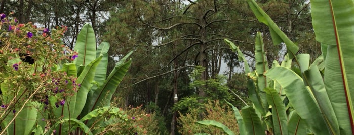 Hotel Monteverde is one of Lugares favoritos de Claudio.