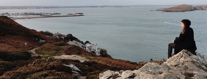 Howth Cliff Walk is one of Odetteさんのお気に入りスポット.