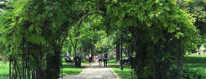 St. James Park is one of Nuit Blanche.