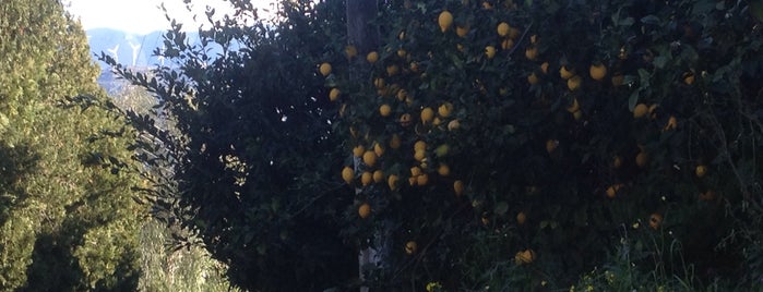 Vakıflı is one of Lugares favoritos de Tanj' H..