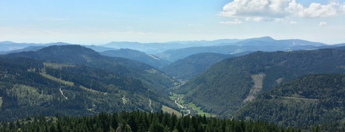 Feldberg is one of Black Forest Mountains.