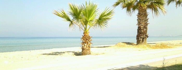 Panionion Plajı is one of SAHİLLER & PLAJLAR -Turkey / Coast and beaches.