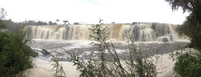 Cascata dos Venâncios is one of Tambará.