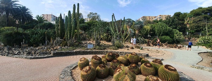 Jardin de Cactus Y Otras Suculentas is one of Malaga.